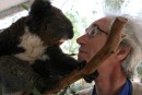IMG_1294: Giles making koala eye contact